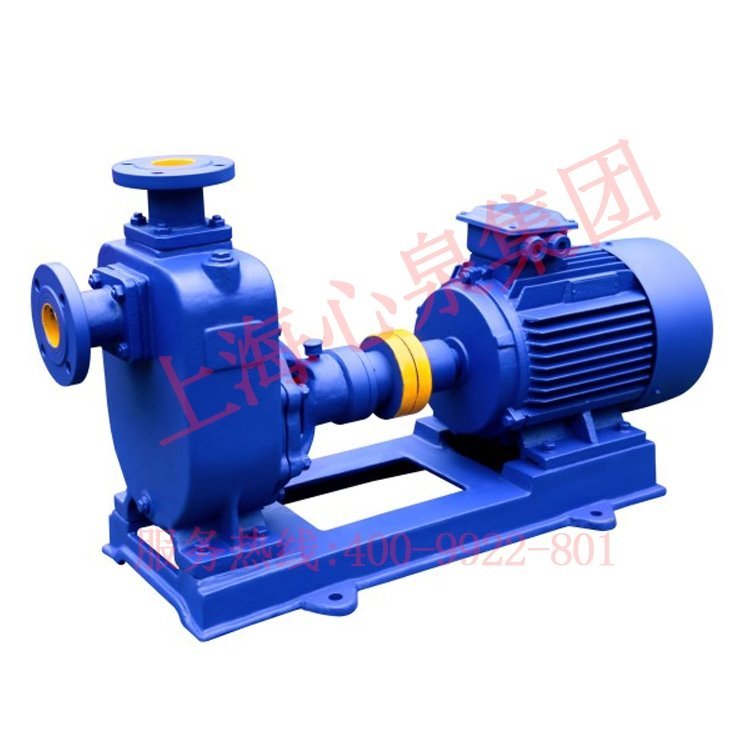 100ZX100-65ʽμxı͸gˮ