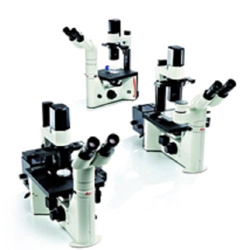 2025ƿDMILLEDßɹ@΢Rϵy(tng)