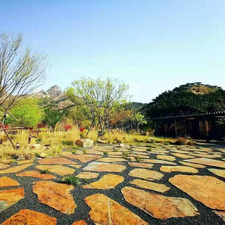 Ƥʯƴʯƴӹ·Ƭʯʯ