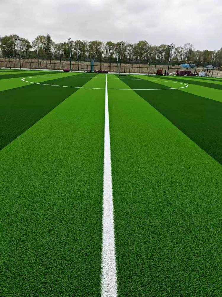 ƺ˜ʮһ˹ƺWУوüٲƺ