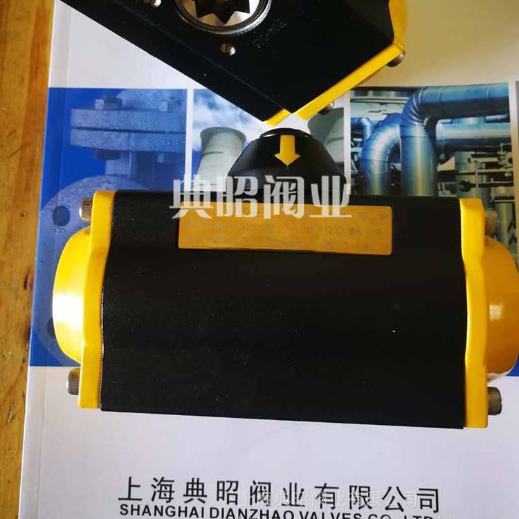 DFS100-DA-MӈDFS100-DA-MDFSȫϵ