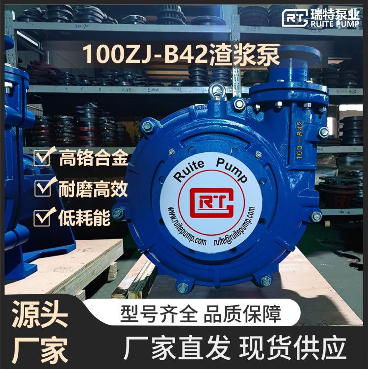 رØI100ZJ-B42{øtĥVú۸ЧIÏSCr27A05