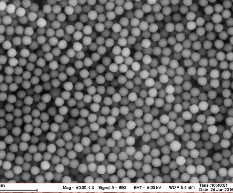 пQ100nm۱ϩ΢PP΢50mg\/ml10mlԇ