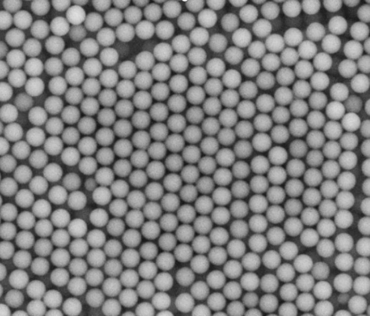 пQPLGA000600600nmұ΢10mg\/ml