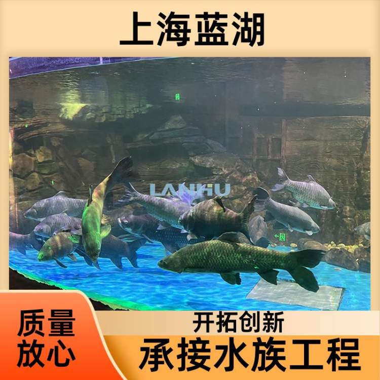 {(ln)^Ҏ(gu)A~ҕl͸bߴ綨