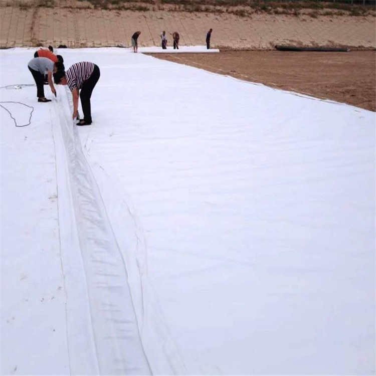 LzͺĤ˹ˮ؏ͺĤɲһĤһһĤ