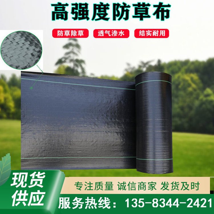 Sҹ(yng)ݲpeȫϳݲO@@ˇزwݲ