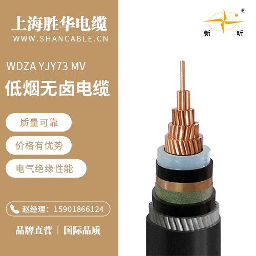 A|WDZAYJY73MV͟ouȼF·C܇ͨӍ