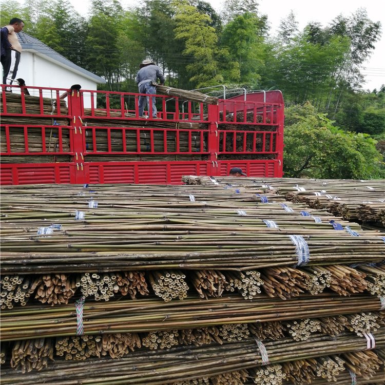 2.4ײ˼ܗUܗUˈ@Ʒ͸gԏSl