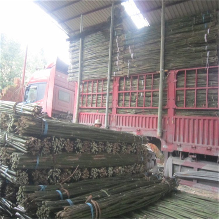 rõСrIahͥԺ߲֧ΗU