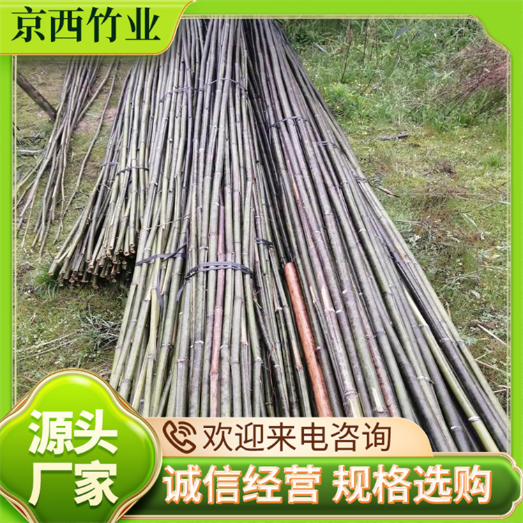 ֧͗܈@־G֧UgԏֱȺþI(y)