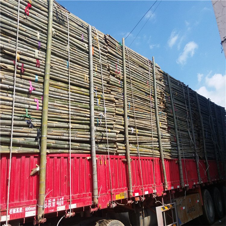 1-3׾GU֧ΗU˼ܸͼܸF؛I