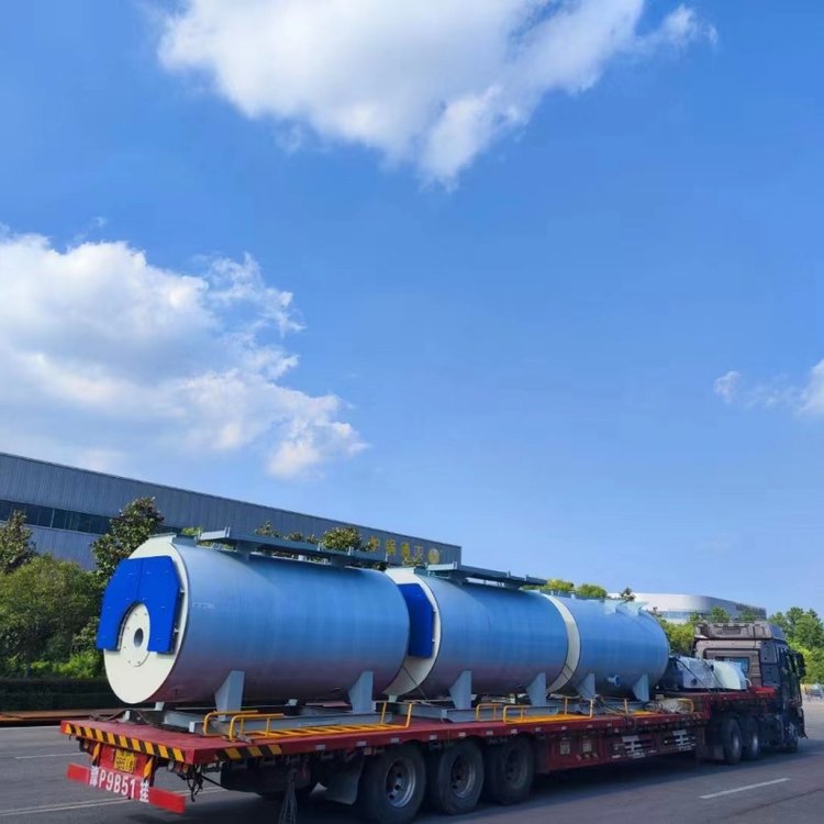 Ȼ偠tзTSZS20-1.25-Y.QAS