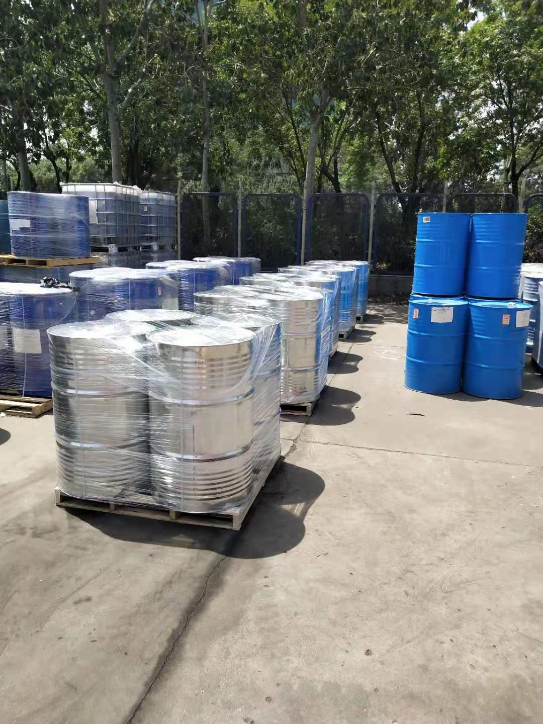 r(nng)601ϩӾϩѻF(xin)؛ʥ¡