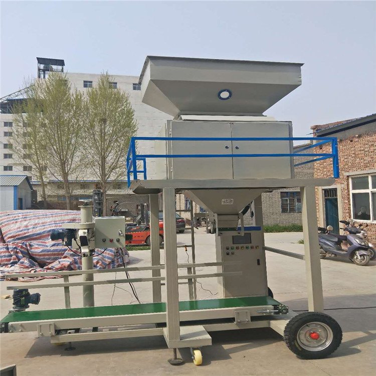 ׼ZʳwbԄӰbӶbCհbC