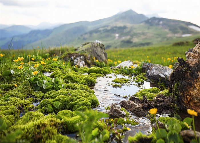 ˮzy(xing)Ŀˮ|(zh)΢ȾzyC(j)(gu)xA֔(jn)