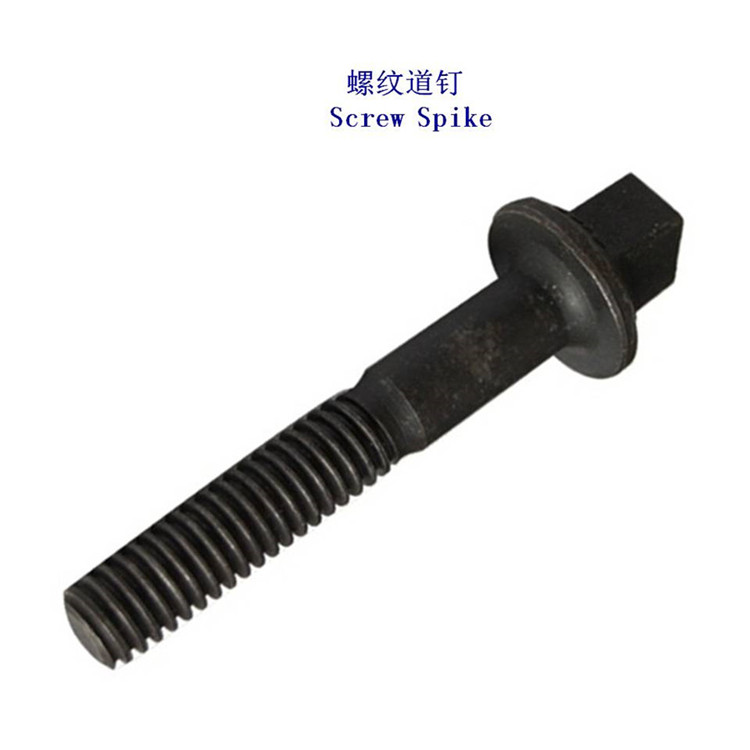 QU100ᔶʮИIֻoṩ|aƷ