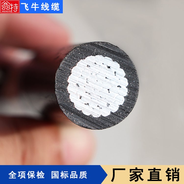 wţ|SֱlȫXоƤܿվJKLYJ-10KV-185ȫ헱z͸ߜ