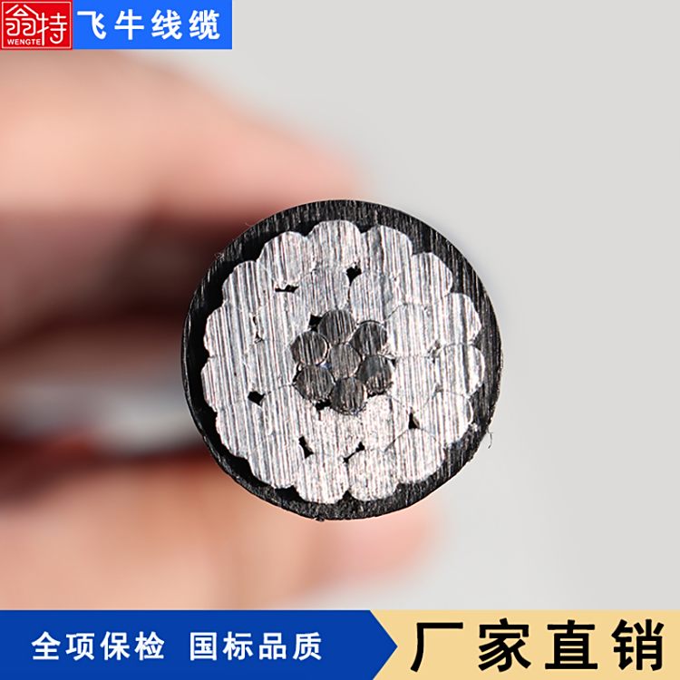 wţ|JKLGYJ-1KV-150\/20ܿս^о͉|ȼ