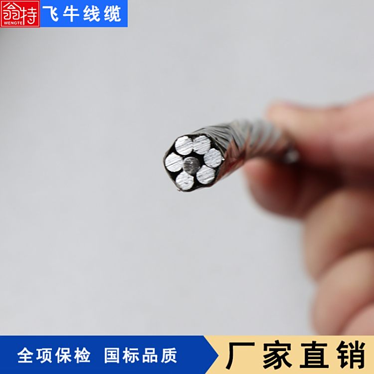 wţ|оXgS҇˱zyJL\/G1A-95\/15F؛ֱl