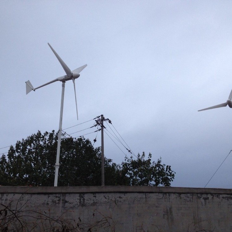 ɳ1kw48vСLl(f)늙C\аl(f)ƽ(wn)