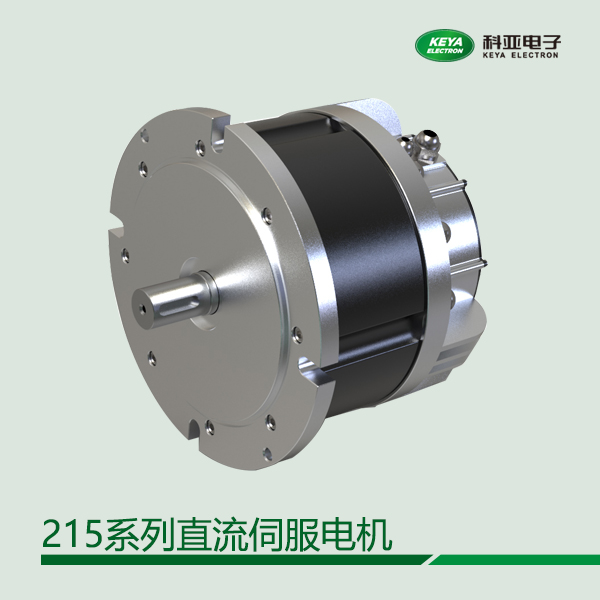 215ϵֱŷ늙CAm48V,4KW,1500RPMMһЧIP67