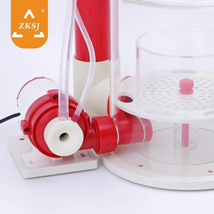 пo(j)|(zh)xREEF-20024V\/42Wʼúˮ~(y)ˮ