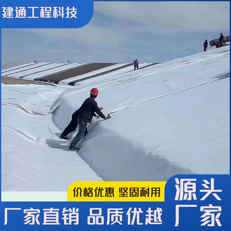 5mmBĤB(f)Ĥܶȶ಼Ĥͨ