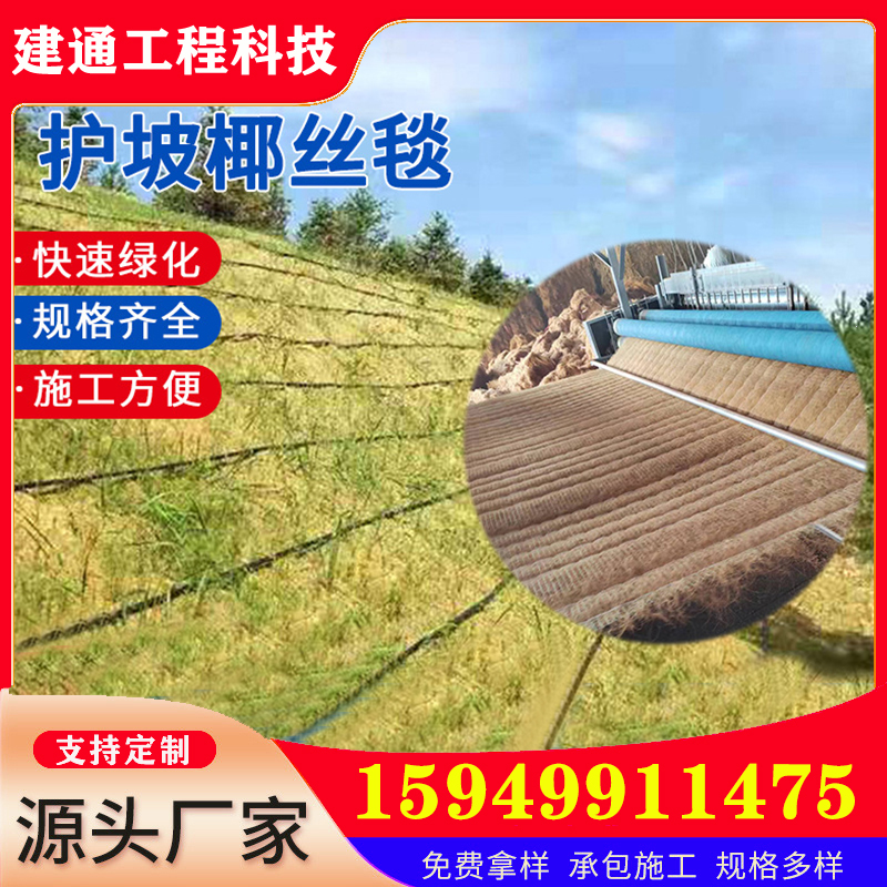 Ҭz̺·BoҬ̺ӽ_̺lֲwS̺