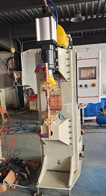 ԁĸc(din)C(j)DNMϵԄ(dng)һwO(sh)ɷǘ(bio)