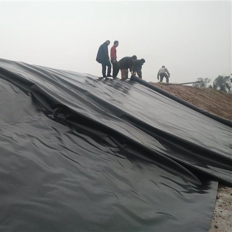 BiBĤʩiúڷBzĤ͹޷BĤ