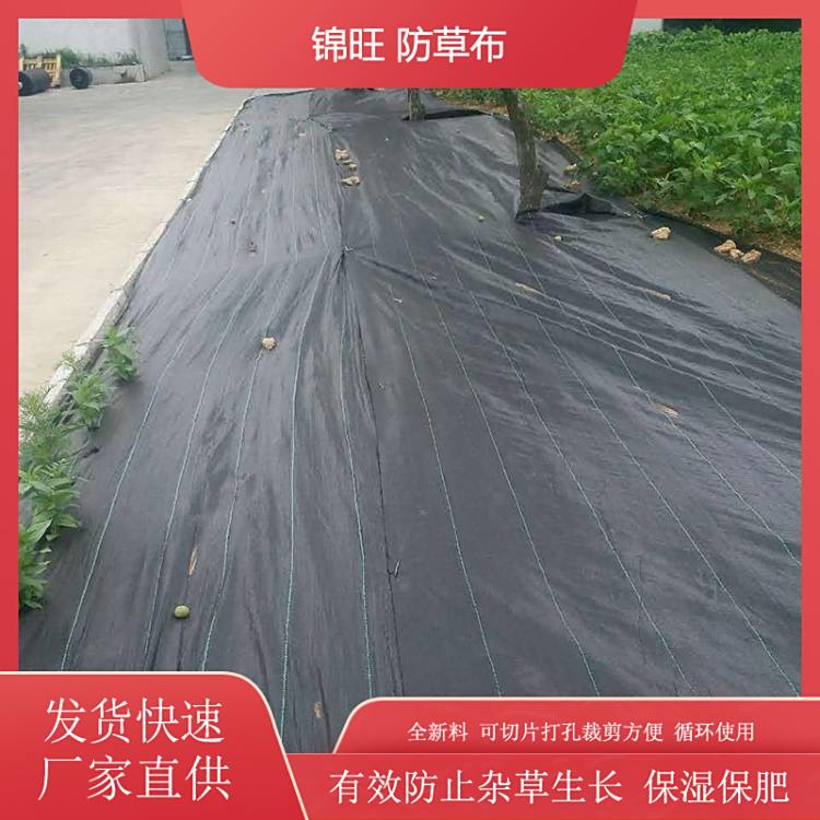 90gϻ@r͸ⱣھGɫݲֲݵز