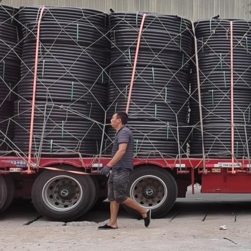 v_(d)R̩С^(q)ˮpeˮ͸gY(ji)DN200