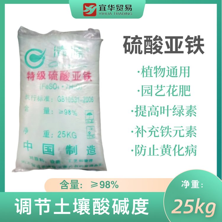 ˮ၆Foˮ၆F၆F၆F