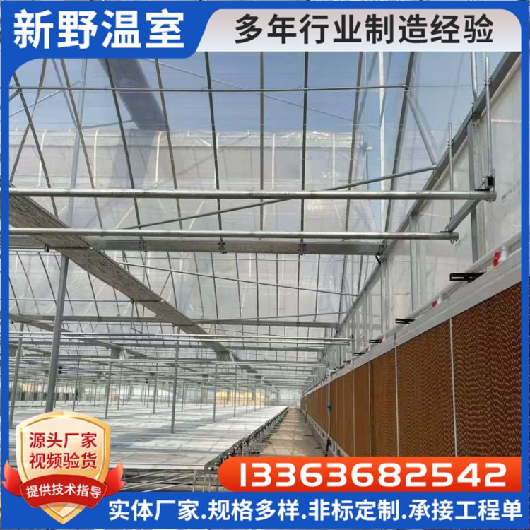 ٽؼӝ10\/15XϽ񺟏SҶa