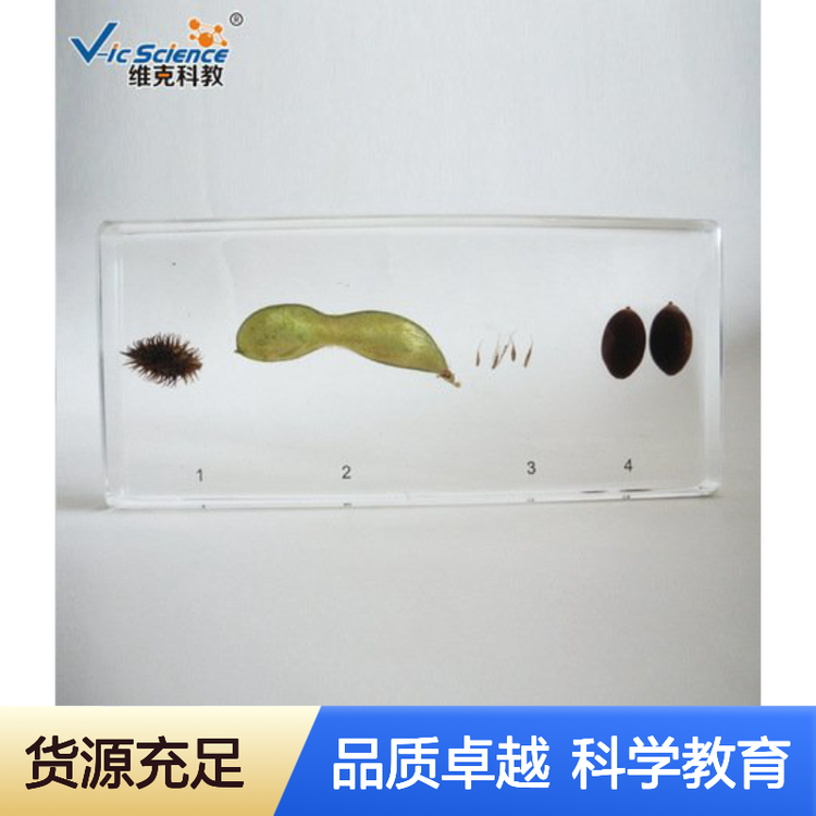 ͯ̌W˱Nӂʽ߷Ә֬❍͸