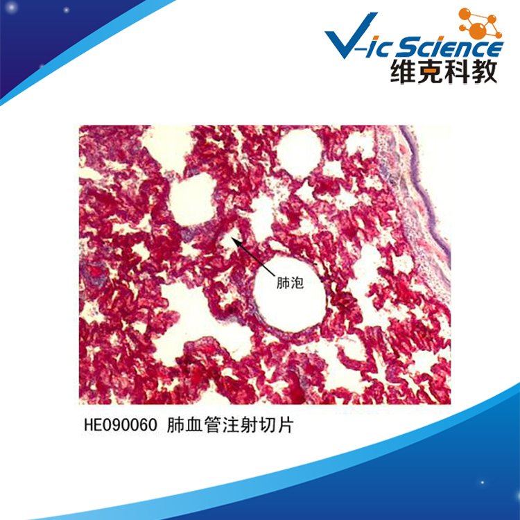 SlѪעƬM˱ֲƬЌW@΢RƬ