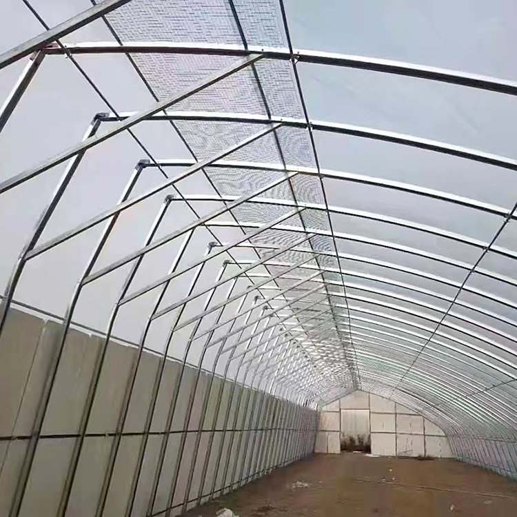 ߲˻ܷNֲнͨL(fng)ϵy(tng)ײs^ӹ