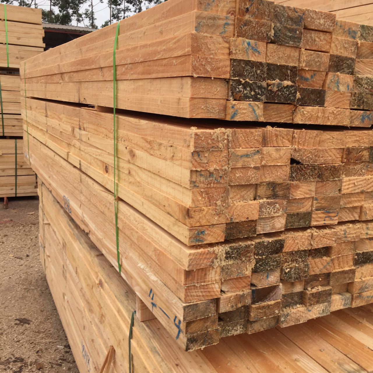 ľSֱN(ni)Nľ|(zh)Ͳ b(sh)ľ