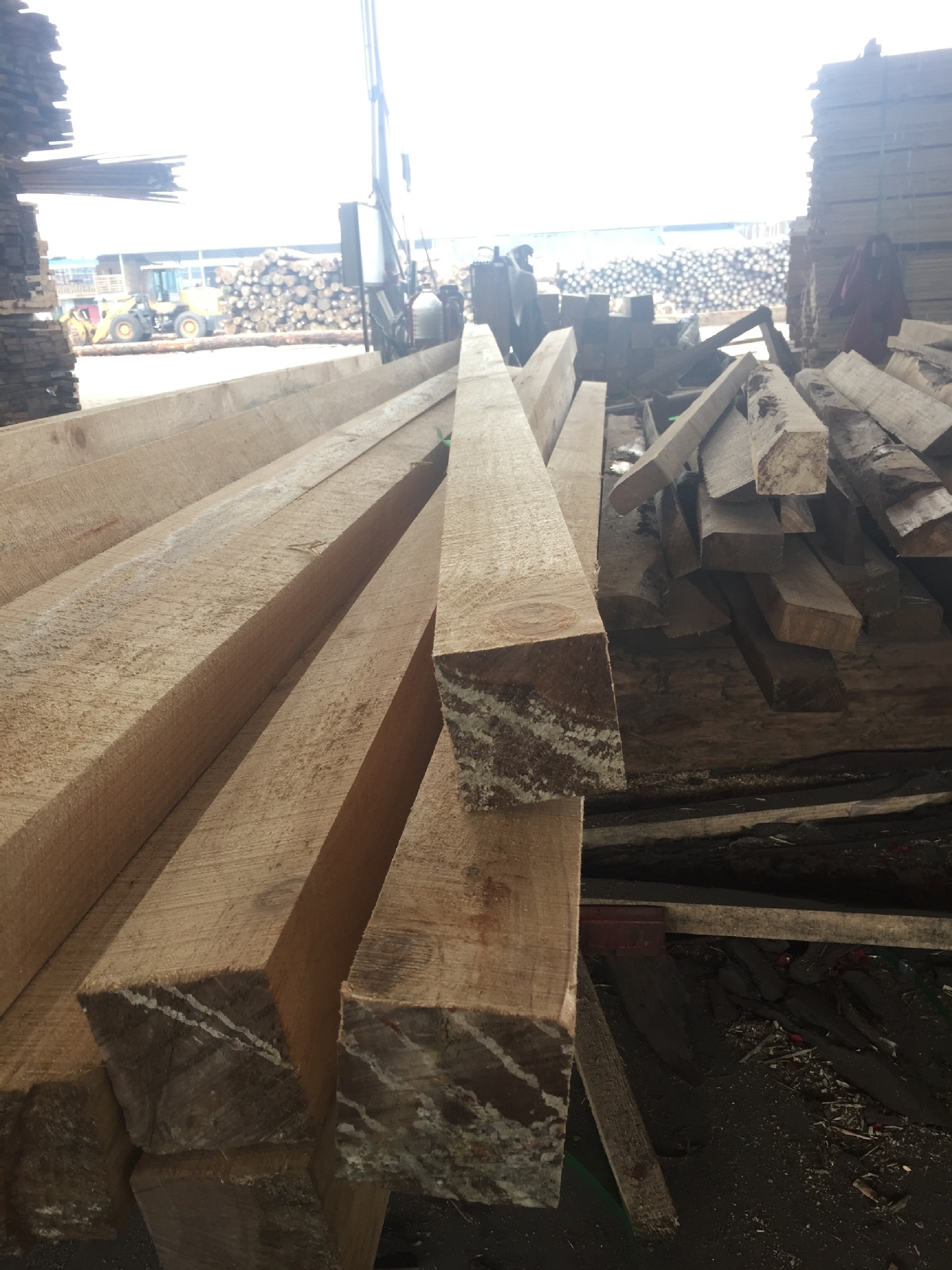 ľSҹ(yng)طľ ľ  ľrX