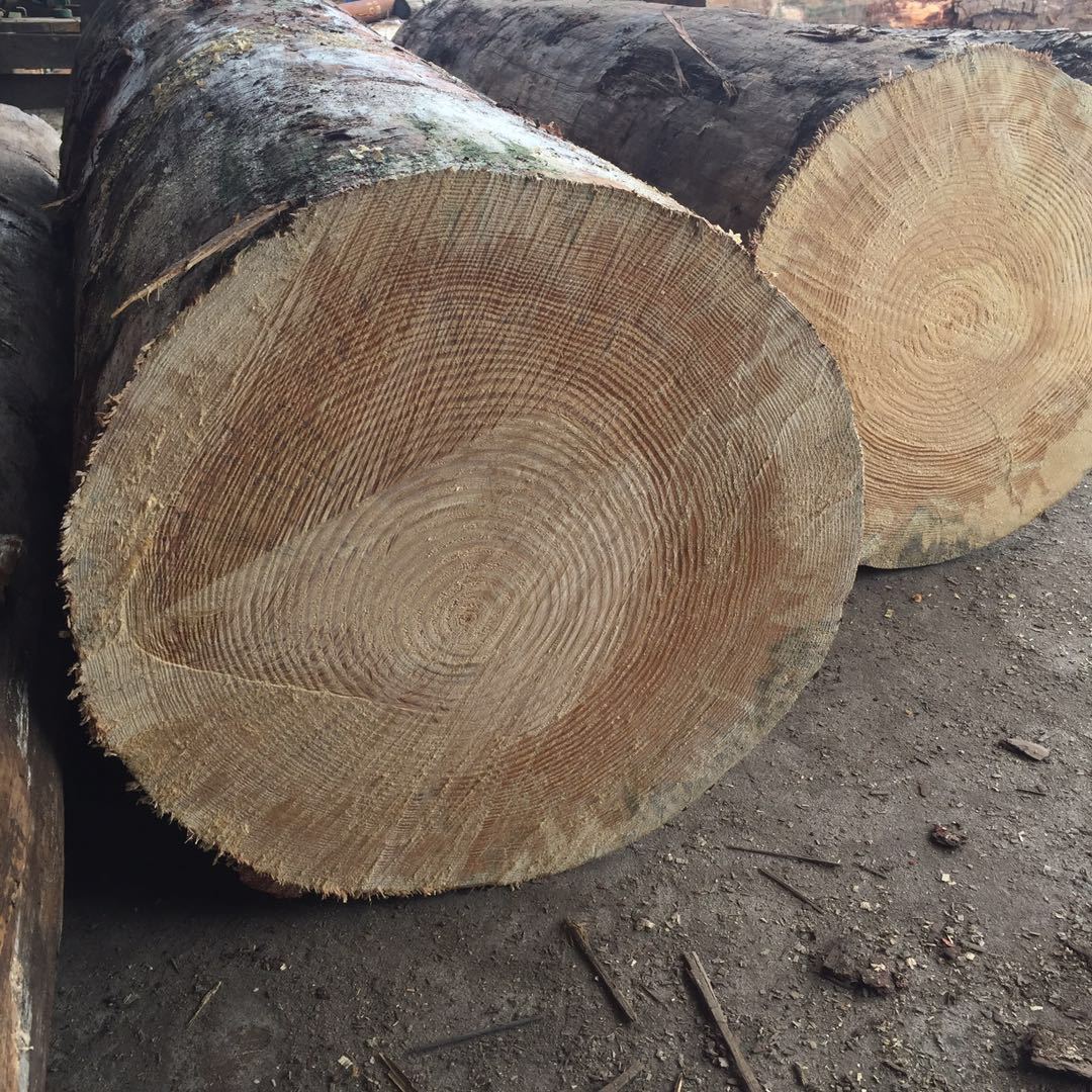 ɽľďSҼӹalNҎľ ľ ̉|ľ