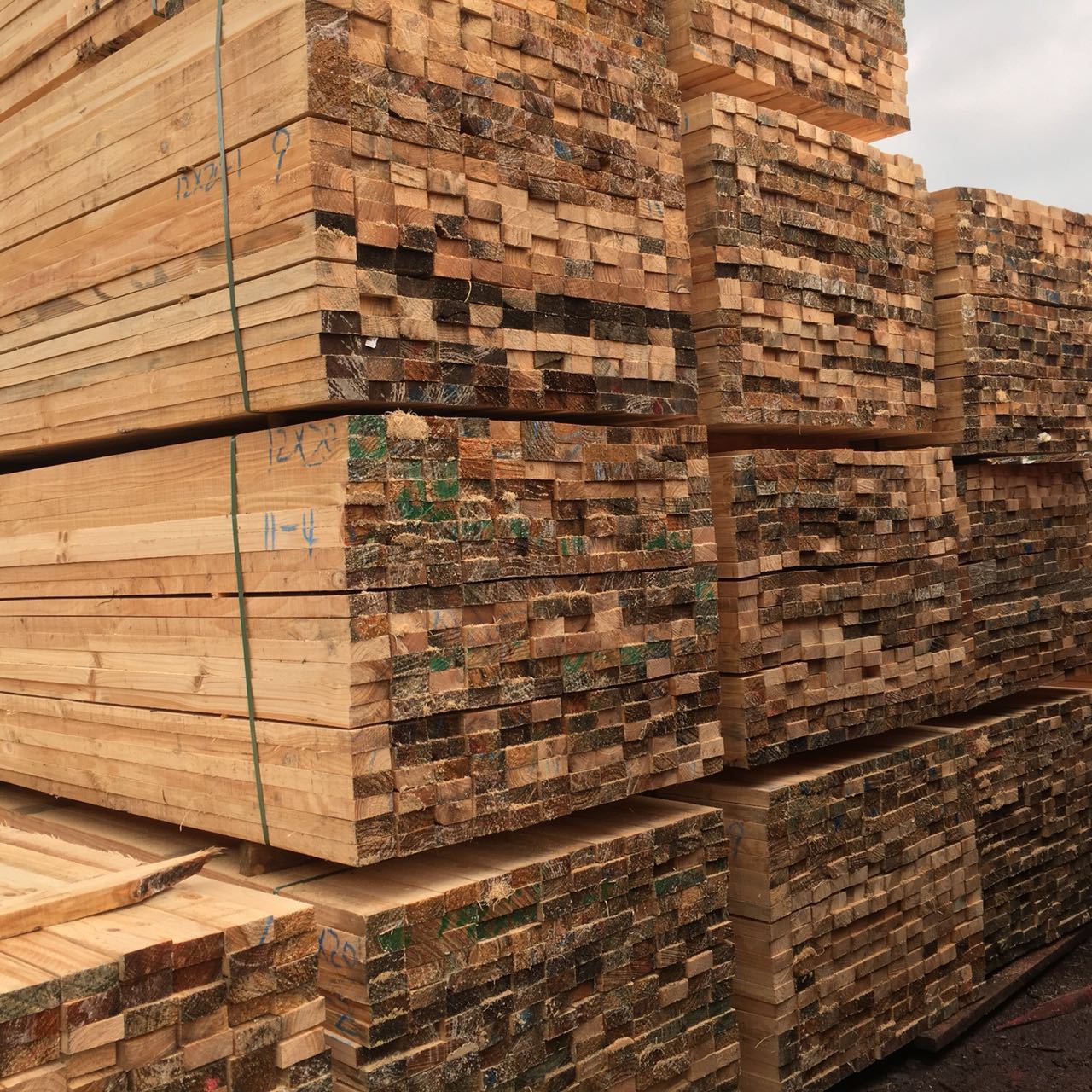 V|ľ Ʒ| ڽdݹ Fɼľ Ҋ