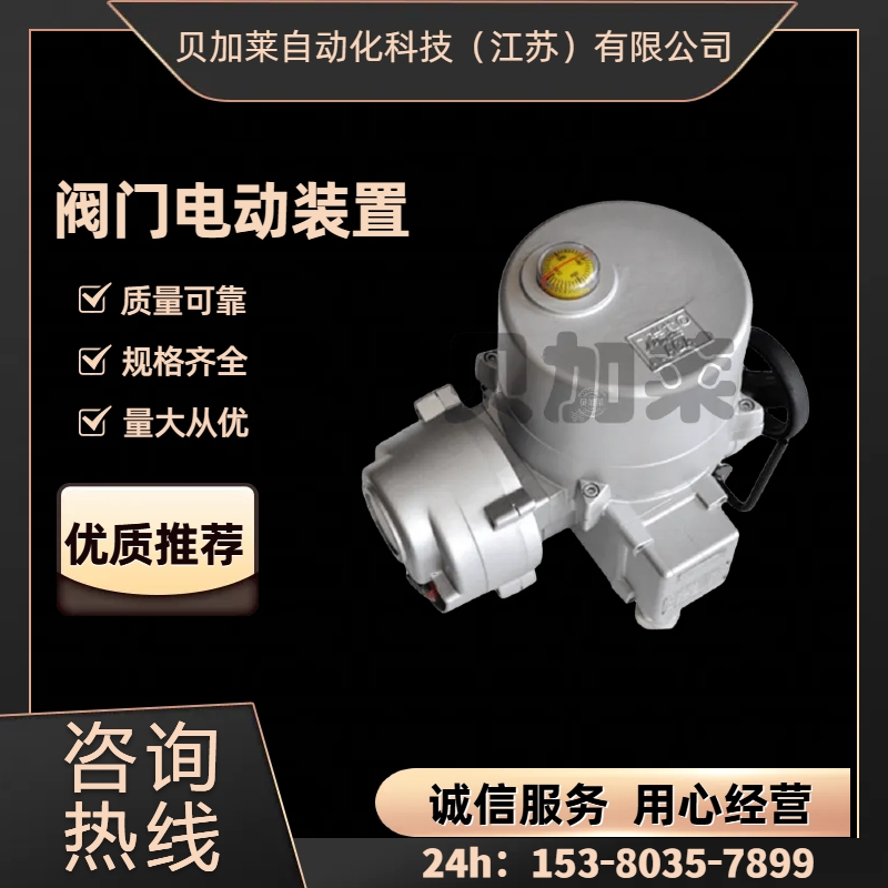 RAGA 늄ӈ RLܽгϵЮaƷ ȫ