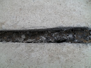 յF©˾ F©˾r(ji) F©˾(bo)r(ji)