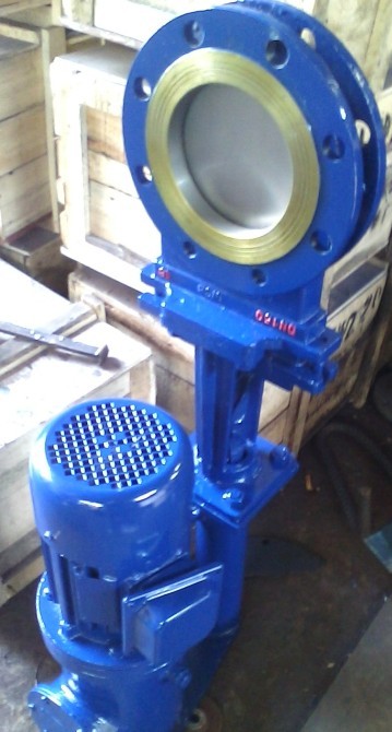 PZ273X.F.H.YҺӌAʽlyĥly