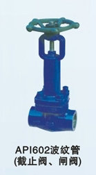 (yng)yֹܽy(do)͌ýֹyߜؽֹyVyT