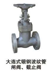 Ily䓲yly(bio)lyϪyT