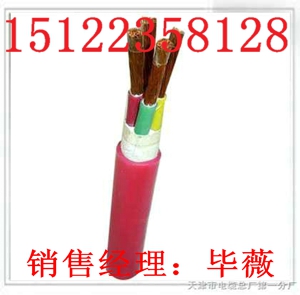 ZA-PZY22|r񣩈rSֱNl