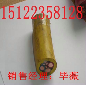 ZA-DJYVP32|r񣩈rSֱNl