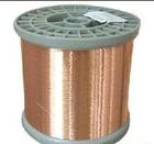 ~-{-))g((-ձ~~ƷʬF